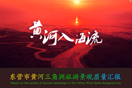黄河口国家级保护区《黄河入海流》5A景区宣传片